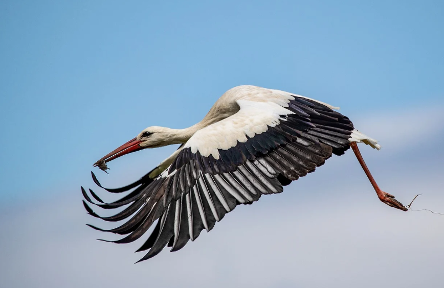 항공권 특가 예약방법