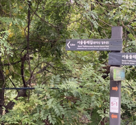 '피톤치드' 걷기좋은 휴양림 BEST 8곳