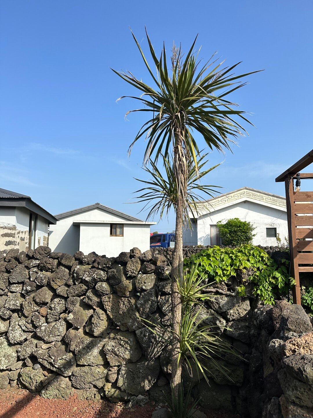 제주도동쪽감성숙소추천