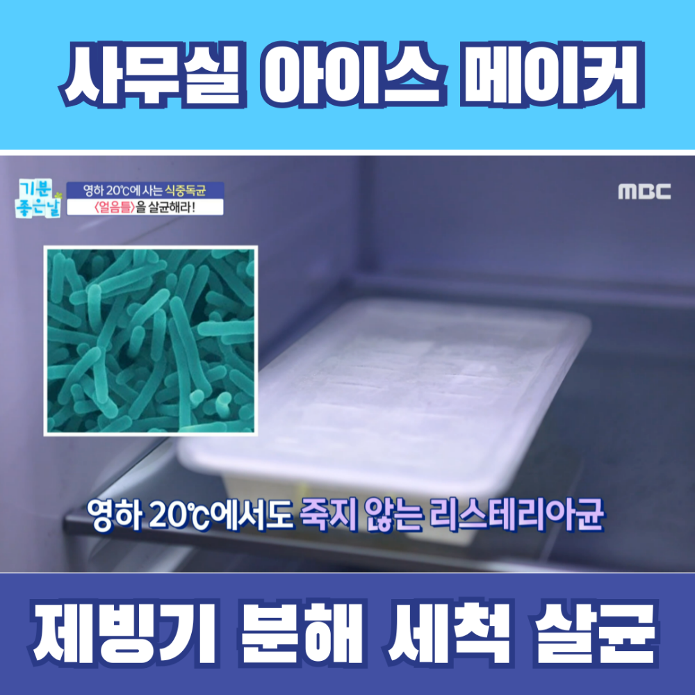 영하 20도에 사는 식중독균