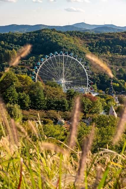 에버랜드 자유이용권 할인 받는 방법