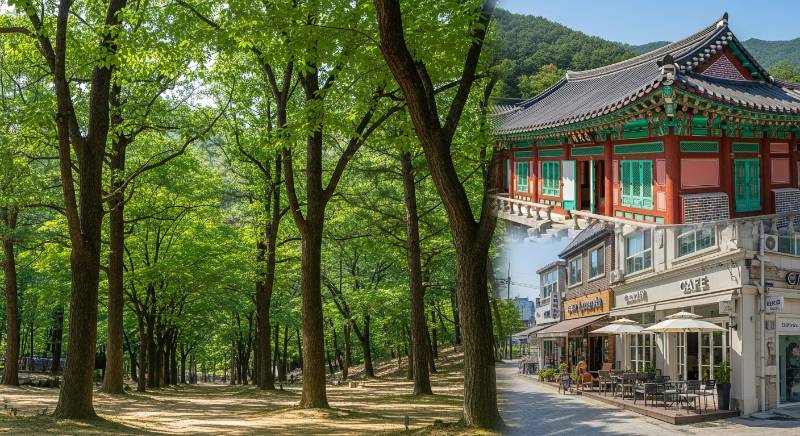 경기도 용인의 대표적인 주말 나들이 명소인 자연휴양림, 한국민속촌, 카페거리가 어우러진 풍경