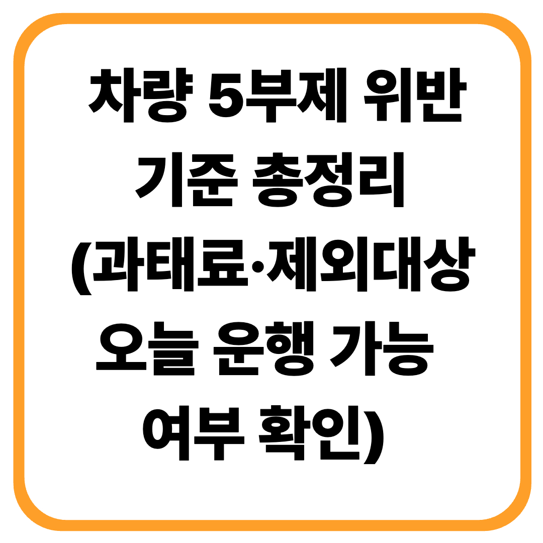 🚗 차량 5부제 위반 기준 총정리 (과태료&middot;제외대상&middot;오늘 운행 가능 여부 확인)
