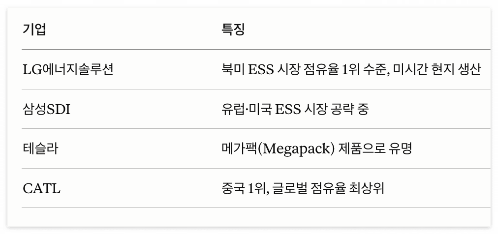 주요 기업 표 LG에너지솔루션 삼성SDI 테슬라 CATL 로 나눠서 설명