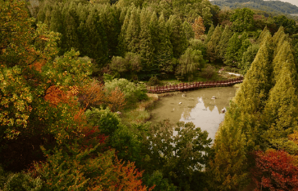 경기도 단풍명소