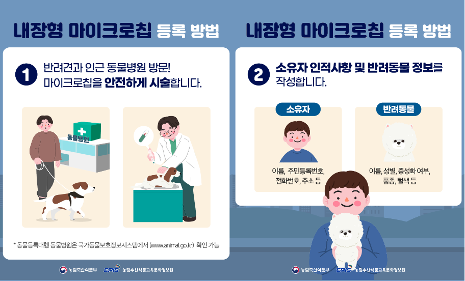 반려동물 등록 비용과 방법 총정리