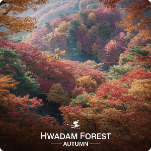  화담숲&middot;모노레일 예약 취소방법&middot;취소표 잡는 방법&middot;입장료 이미지