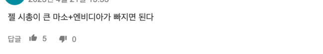 soxs에 대한 투자전망 의견 2