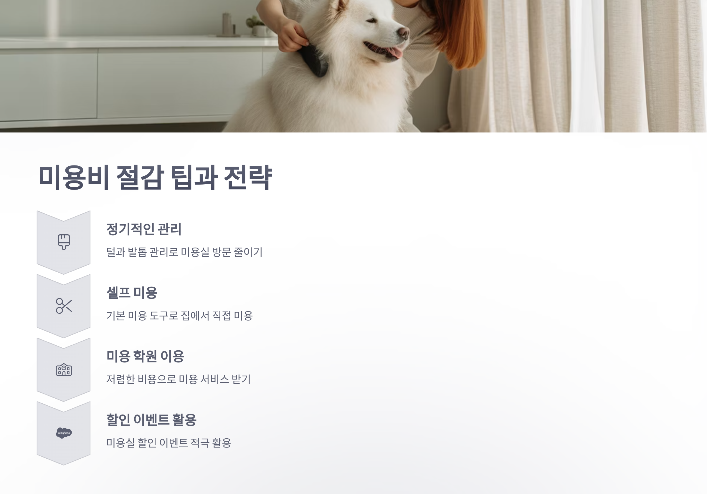 참조-반려동물,-미용-병원비-부담-4