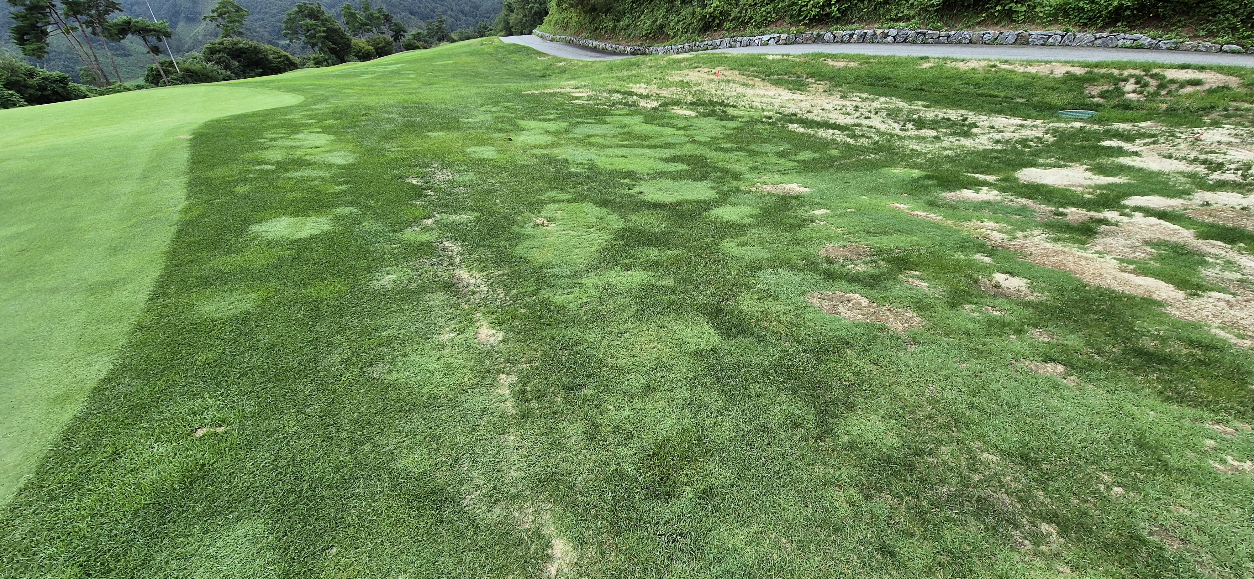 더플레이어스cc