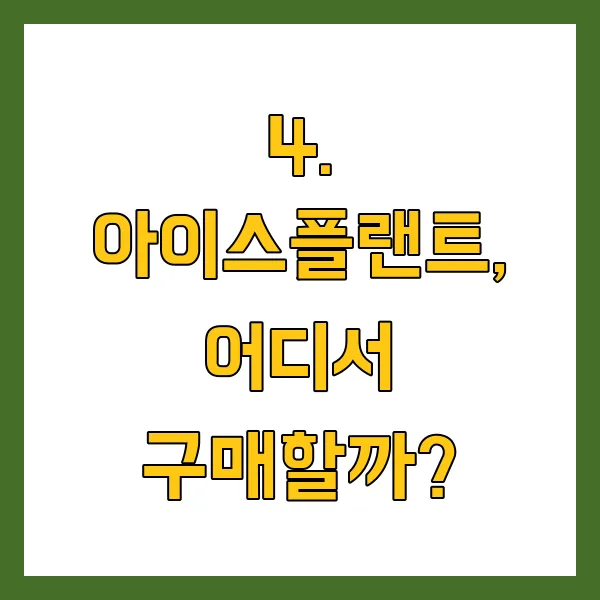 아이스플랜트 효능 효과, 주문 방법, 요리법 생방송 오늘아침