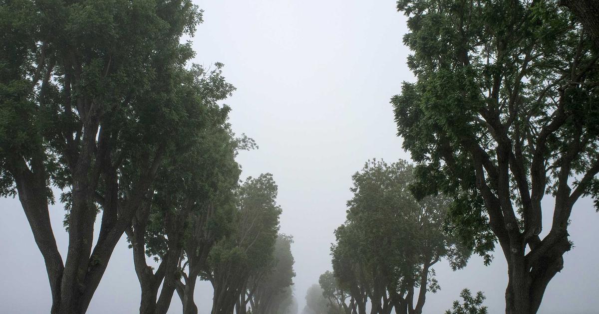 stable dividend etf growth chart