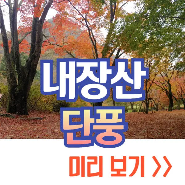 내장산 단풍