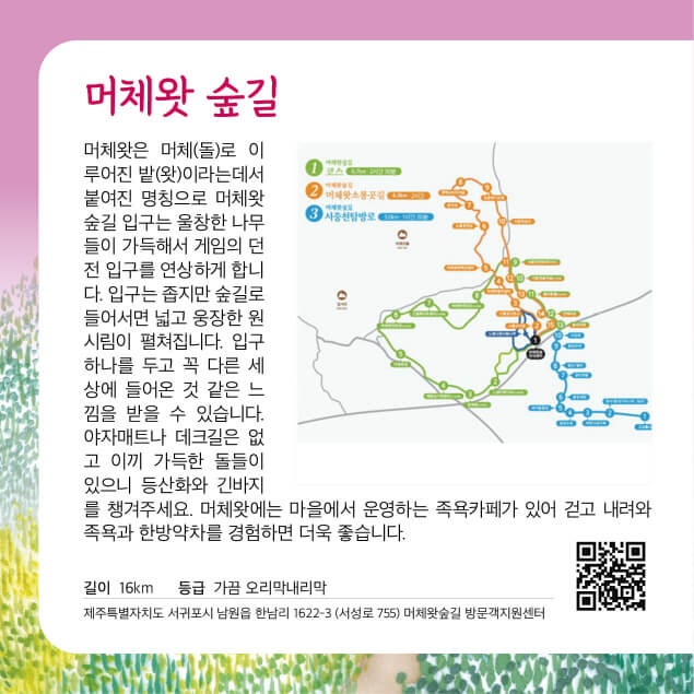 명품숲길 50선 &ndash; 제주 서귀포시 머체왓숲길, 돌과 숲이 어우러진 제주의 원형 풍경