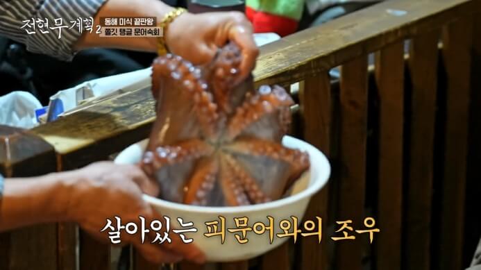 삼척-문어