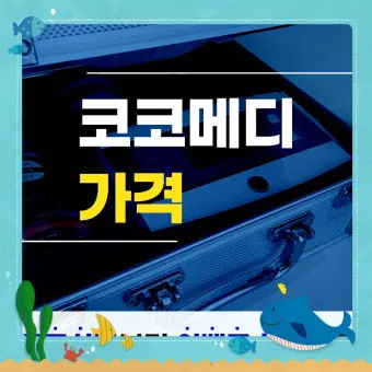 코코메디 가격과 효능 후기_21