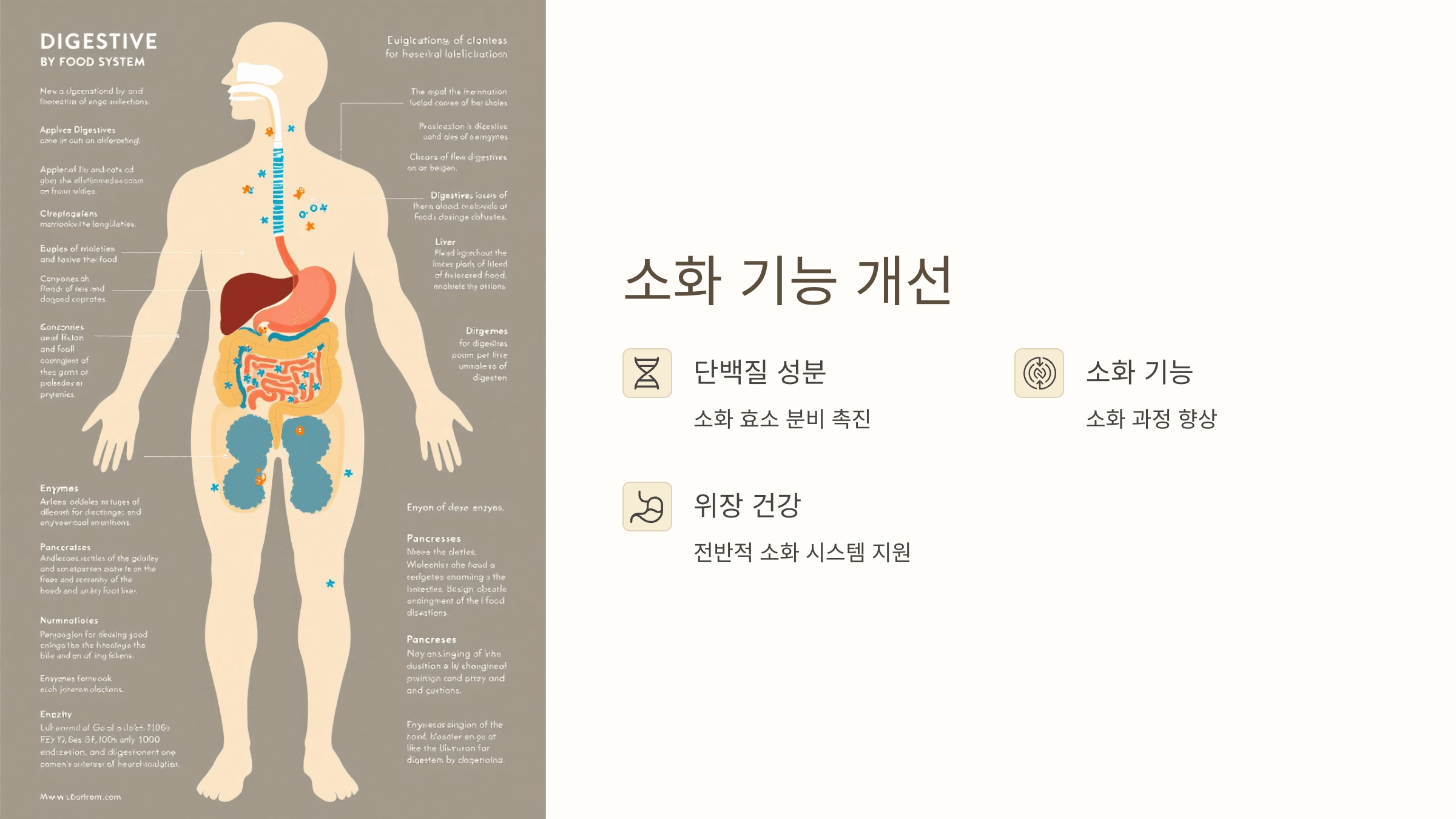 난각막 사진입니다.