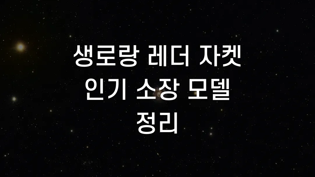 생로랑 레더 자켓 인기 소장 모델 정리