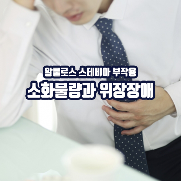 알룰로스 스테비아 부작용 - 소화불량과 위장장애