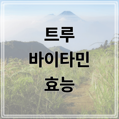트루 바이타민 효능