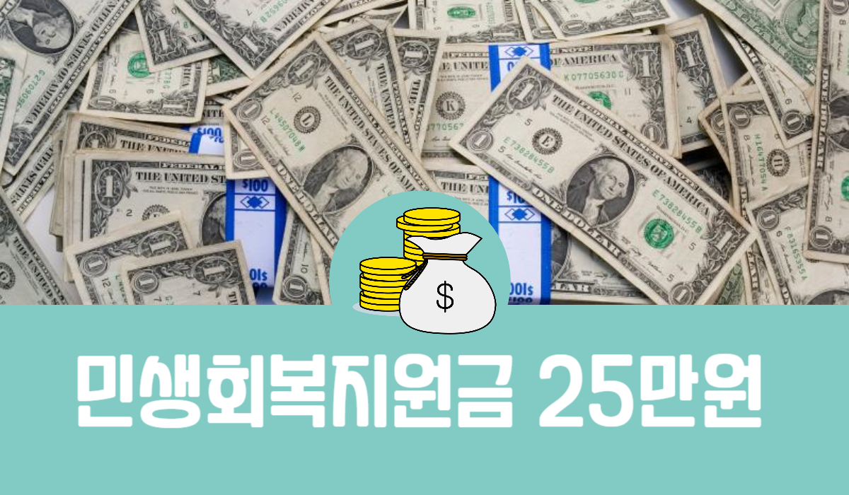 민생회복지원금 25만원