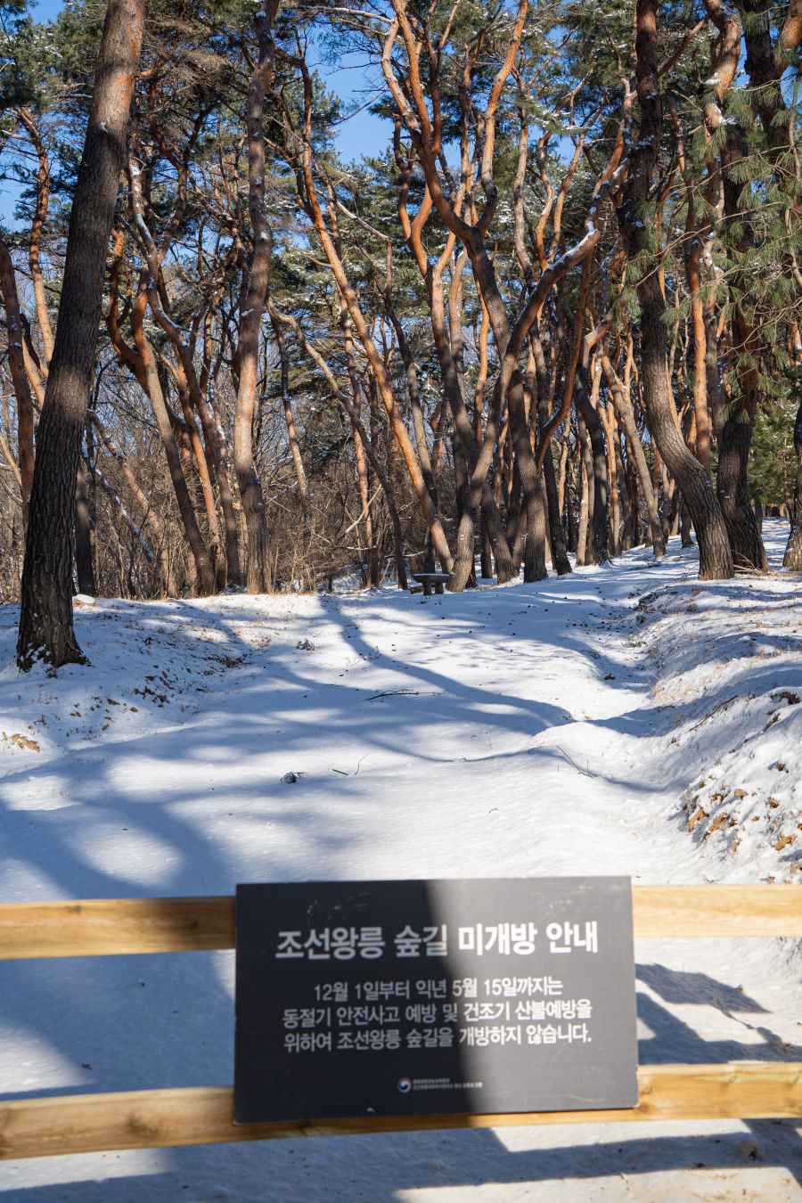 융건릉 산책로 통제