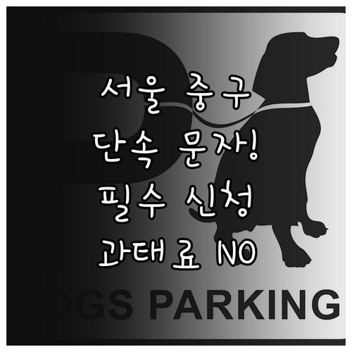 서울 중구 주정차단속 문자 서비스 신..