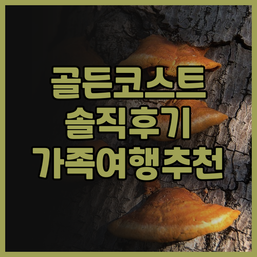 골든 코스트 리트리트 방문객 생생 후..