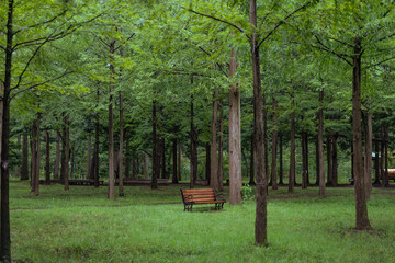 남이섬 어쿠스틱 청춘 페스티벌 총 정리