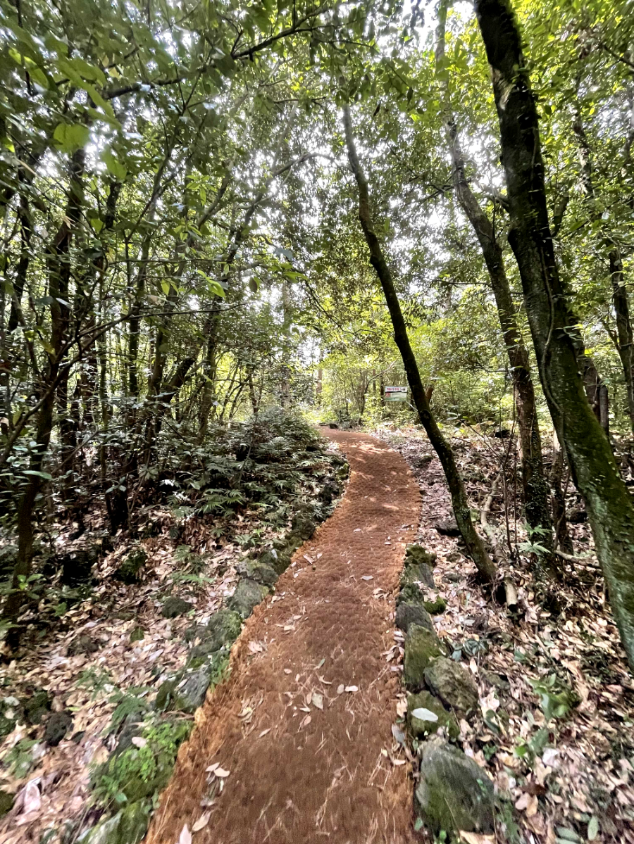 제주 곶자왈 도립공원