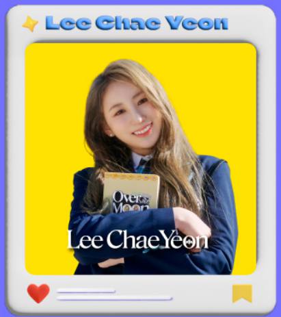 보령머드축제 기본정보