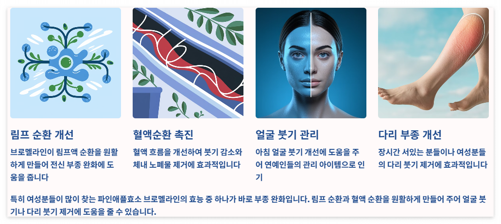 부종완화 붓기제거