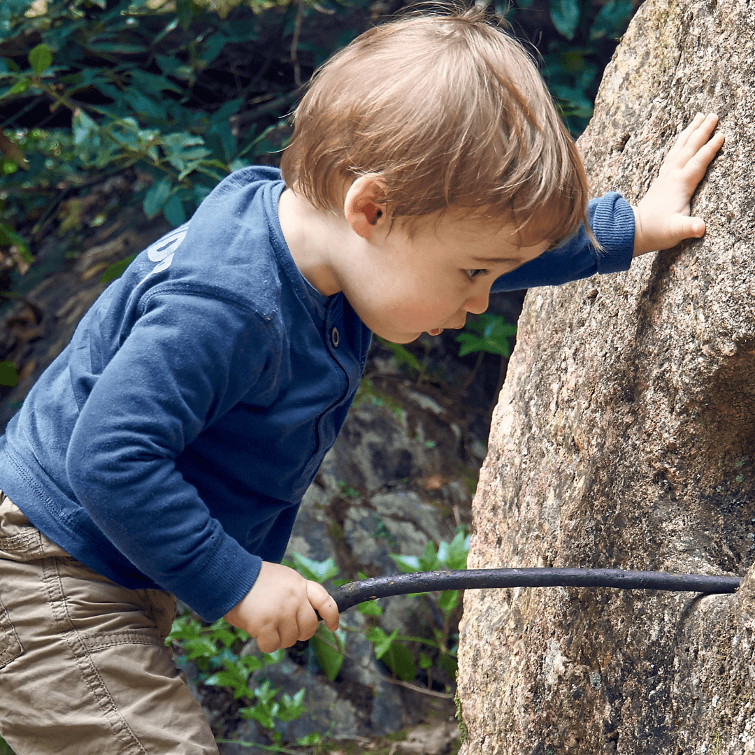 창의력 키우는 5가지 자연교육방법