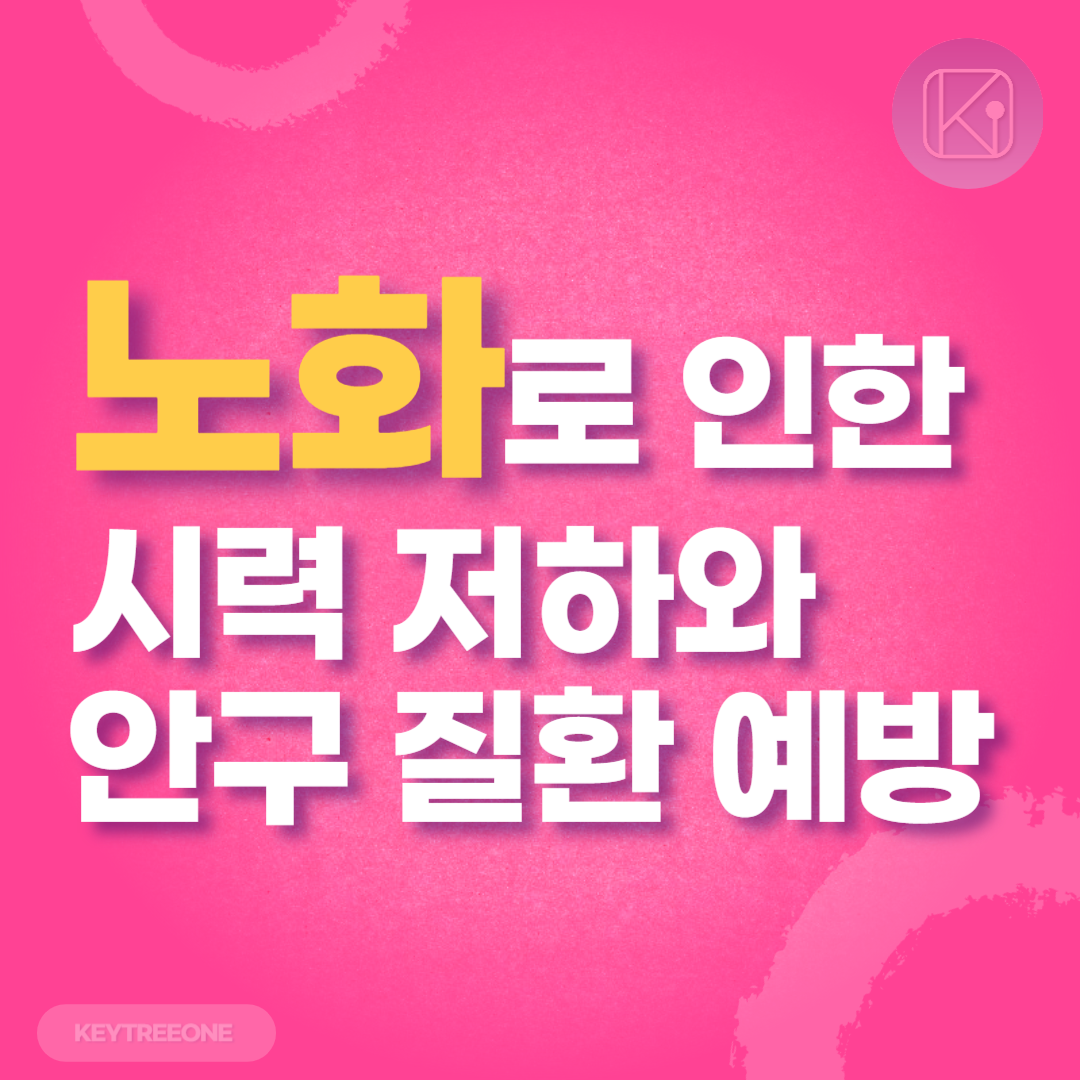 노화로 인한 시력 저하와 안구 질환 예방