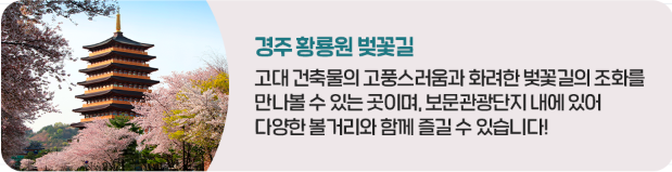 봄꽃벚꽃개화현황 
