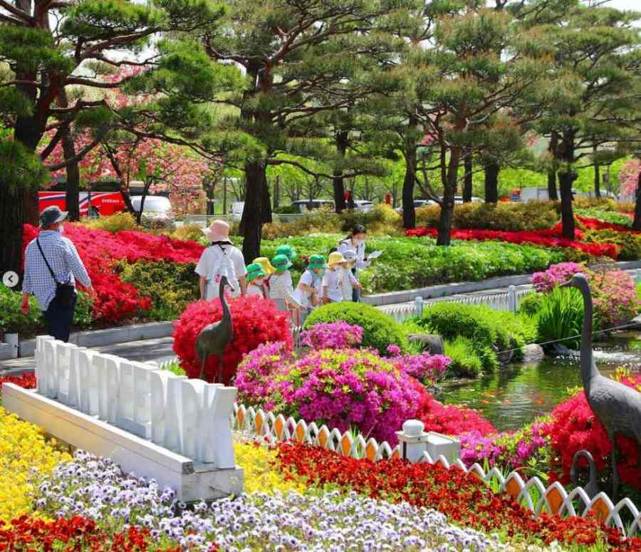 베어트리파크 철쭉제 봄과 철쭉