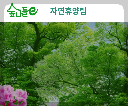 수락 휴 트리하우스 예약