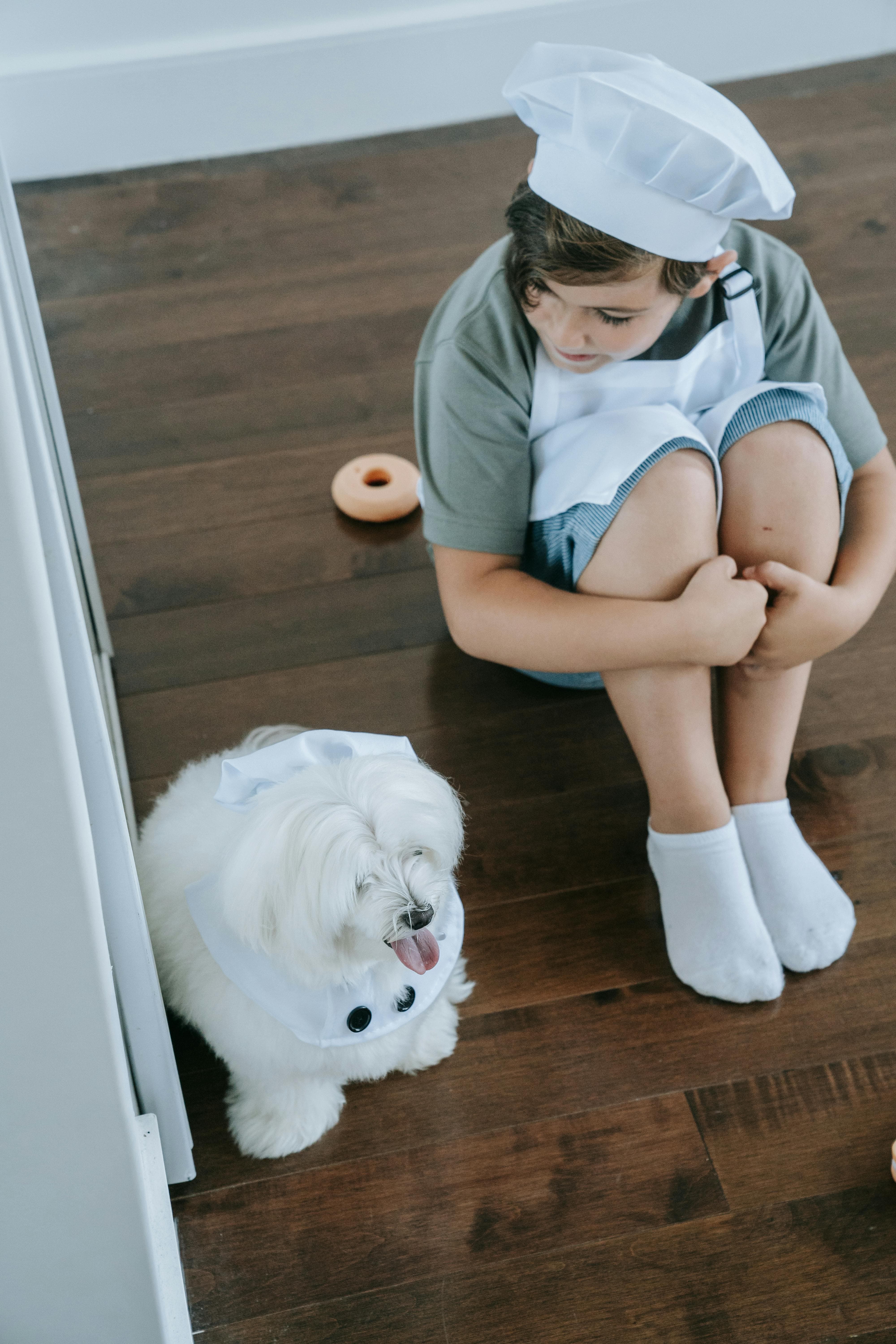 반려견이 자주 머무는 바닥 소재(타일&middot;강마루&middot;카펫)가 관절&middot;족저 패드 건강에 주는 차이