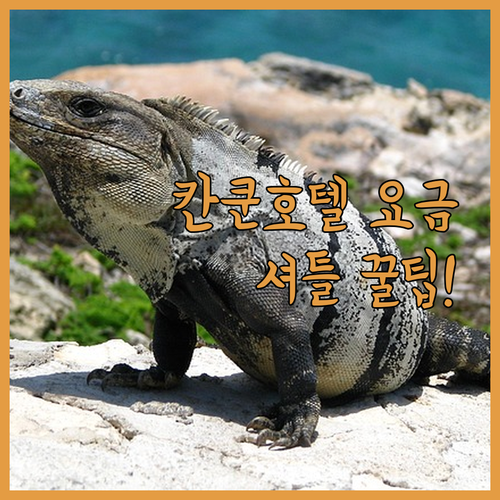 멕시코 칸쿤 호텔별 요금 정책과 공항..