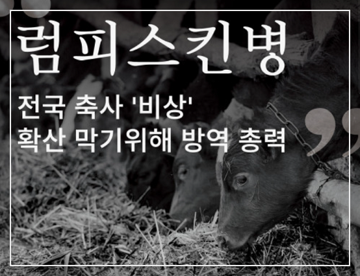 소 럼피스킨병