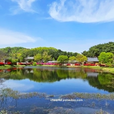 청양 가볼만한곳 베스트10