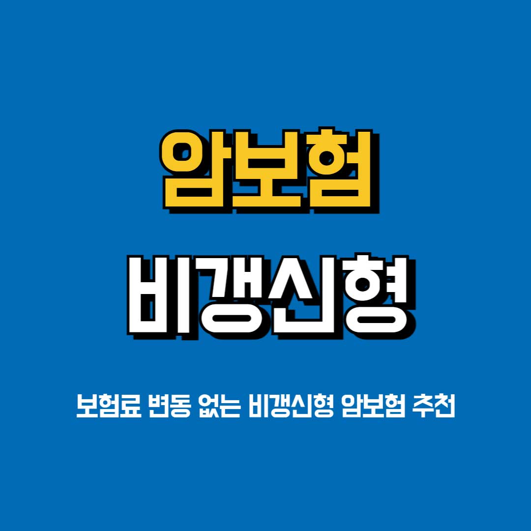 암보험-비갱신형-추천