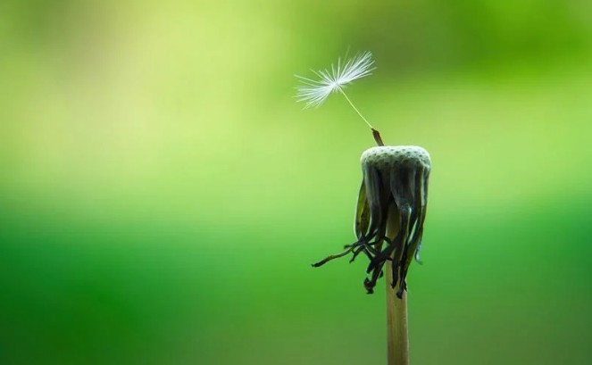 [Q&A] 증여세 과세대상 - 이혼시 재산분할, 이혼위자료, 보험금, 결혼축의금, 혼수용품, 부모와 자녀간 금전거래 매매거래, 손자교육비, 피부양자생활비 교육비