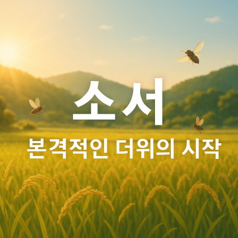 소서의 모든 것(뜻, 유래, 음식, 속담, 풍습, 자연)
