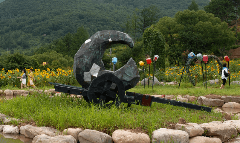 태백 해바라기축제