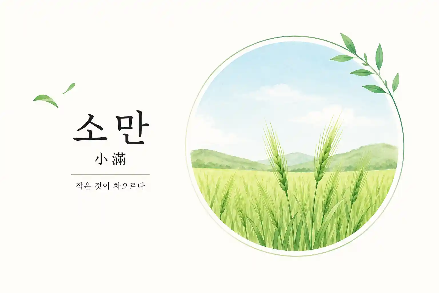 소만 뜻과 보리 이미지