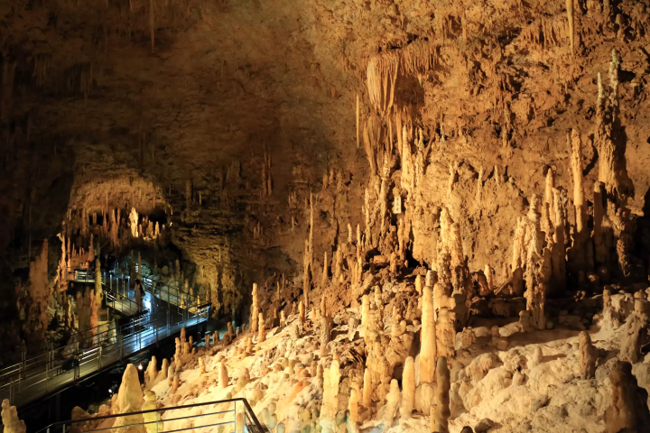 오키나와 자유여행 인기 관광 남부, 중부, 북부 명소 추천 22선