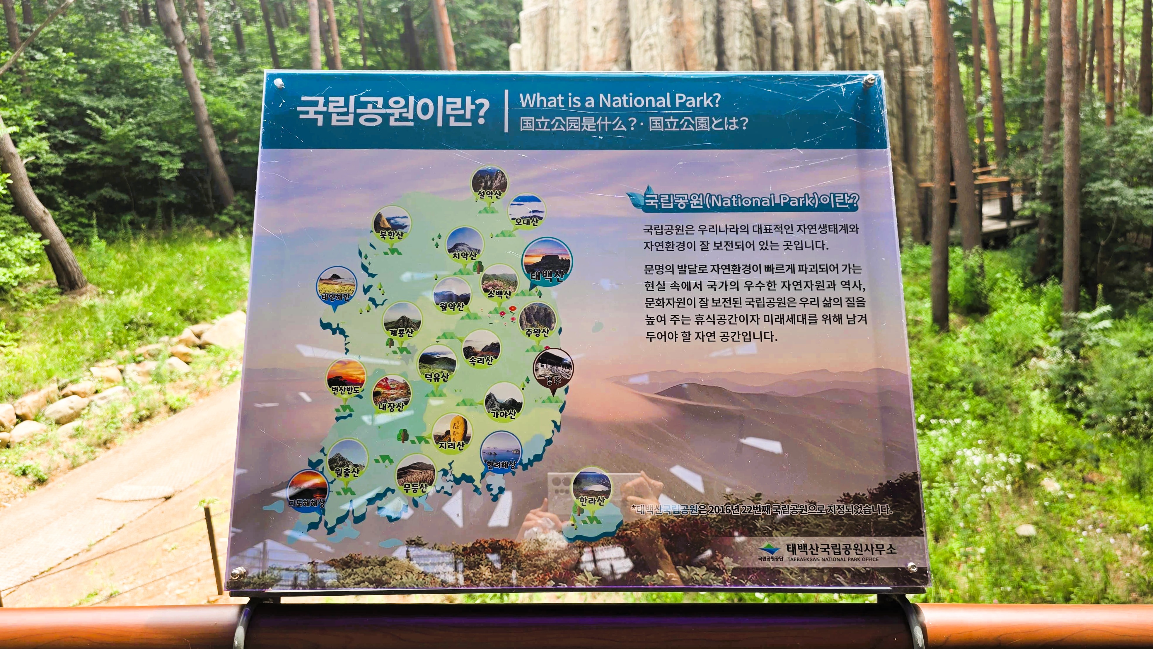 강원도 태백 아이랑 가볼만한 곳∣365세이프타운&amp;#44; 하늘전망대&amp;#44; 석탄박물관