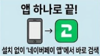 네이버 부동산 접속을 위해 별도 앱 설치 없이 네이버페이 앱에서 바로 검색해서 접속할수 있다는 인포그래픽