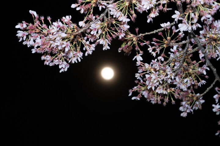 2025년 윤달, 윤달 주기 알아보기